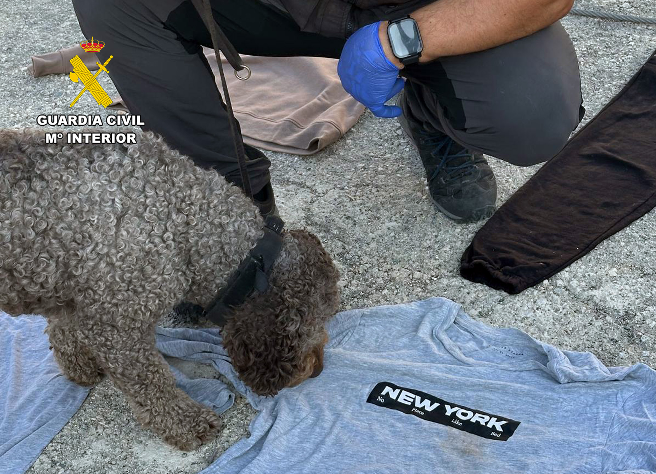 20260604 OP FUENTE BLANCA DETENIDO HOMICIDIO RVI FORTUNA 05