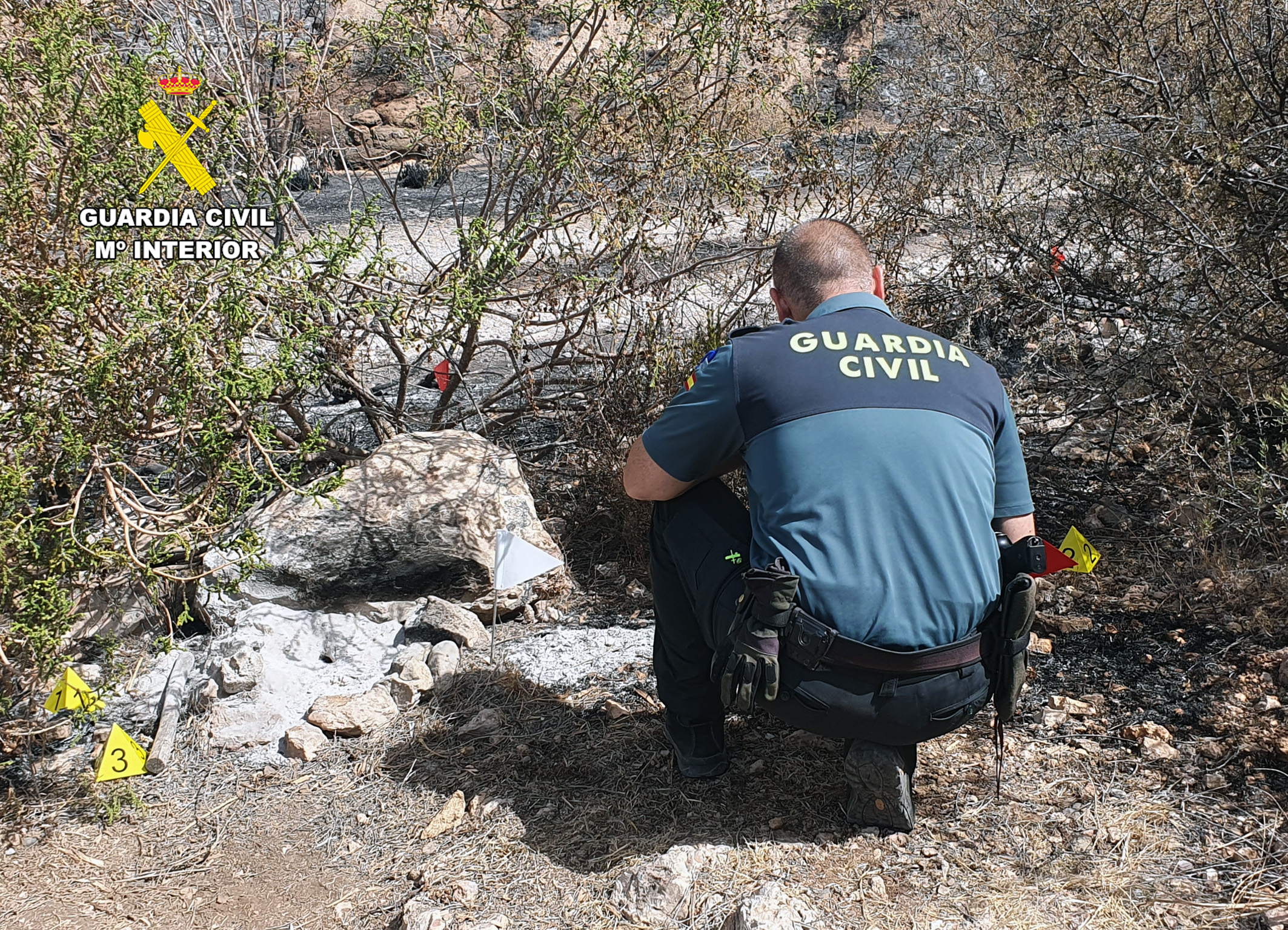 20260805 incendio forestal Mazarron 03