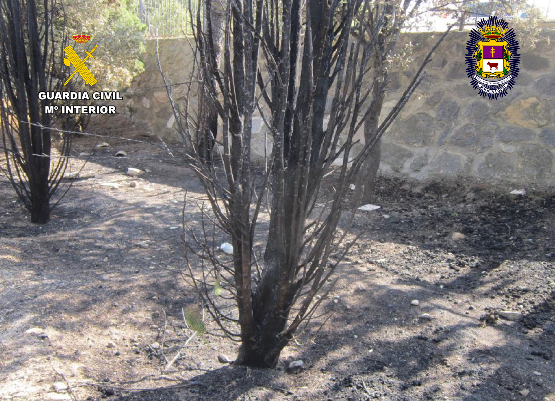 20260807 incendios La Reja Caravaca 02