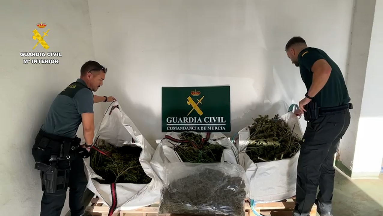20260924 OP BIMBAN TRAFICO DROGA MARIHUANA SAN JAVIER 05