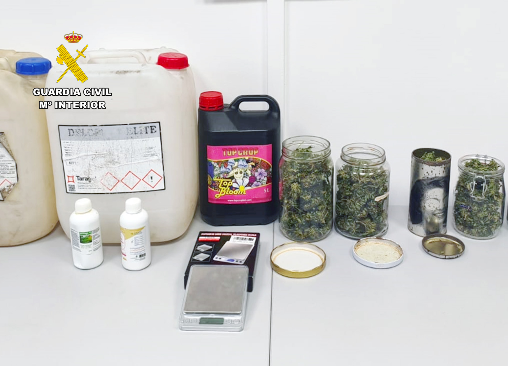 20261029 MARIHUANA CALASPARRA 01