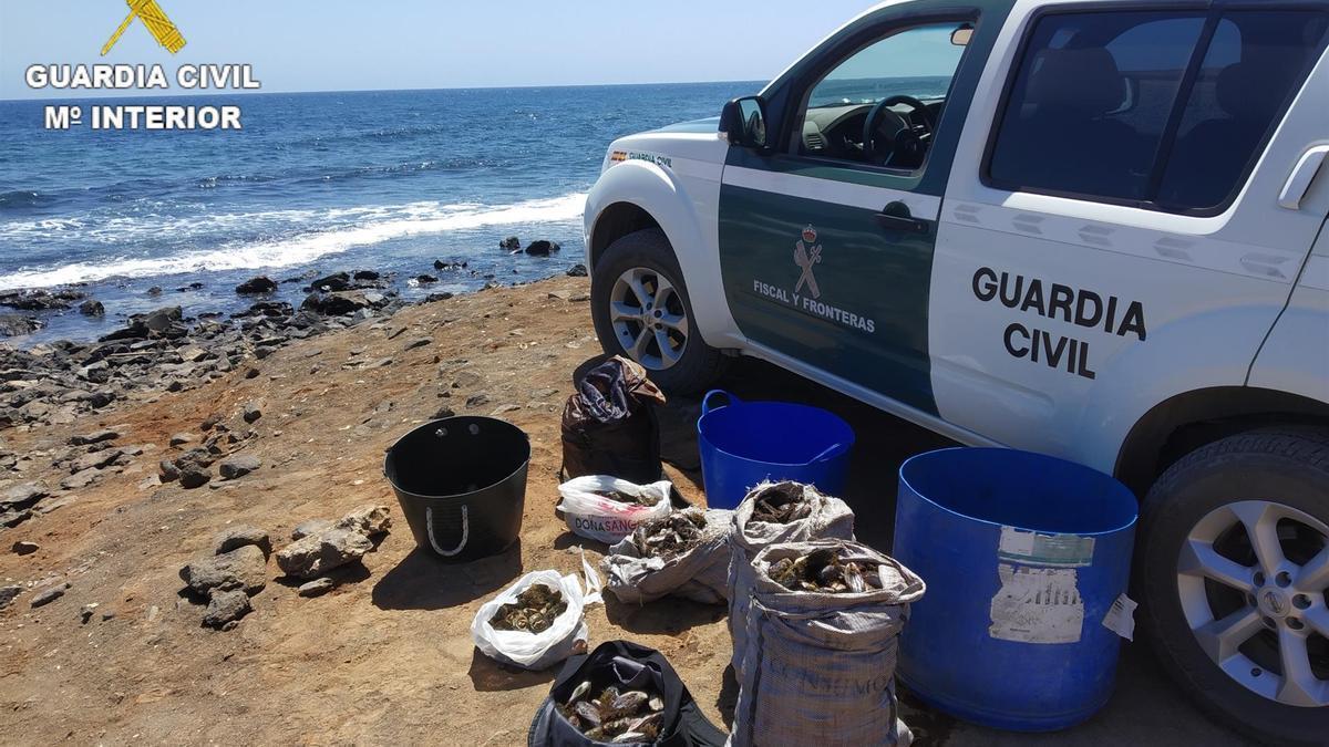 20bca9f7 1917 4055 a607 14aa87a70687 16 9 discover aspect ratio default 0