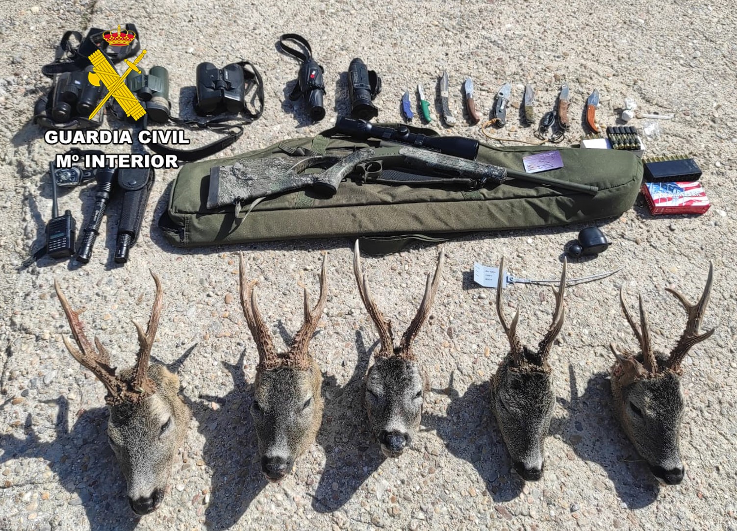 APREHENSIÓN CINCO CORZOS Y MATERIAL CAZA 1