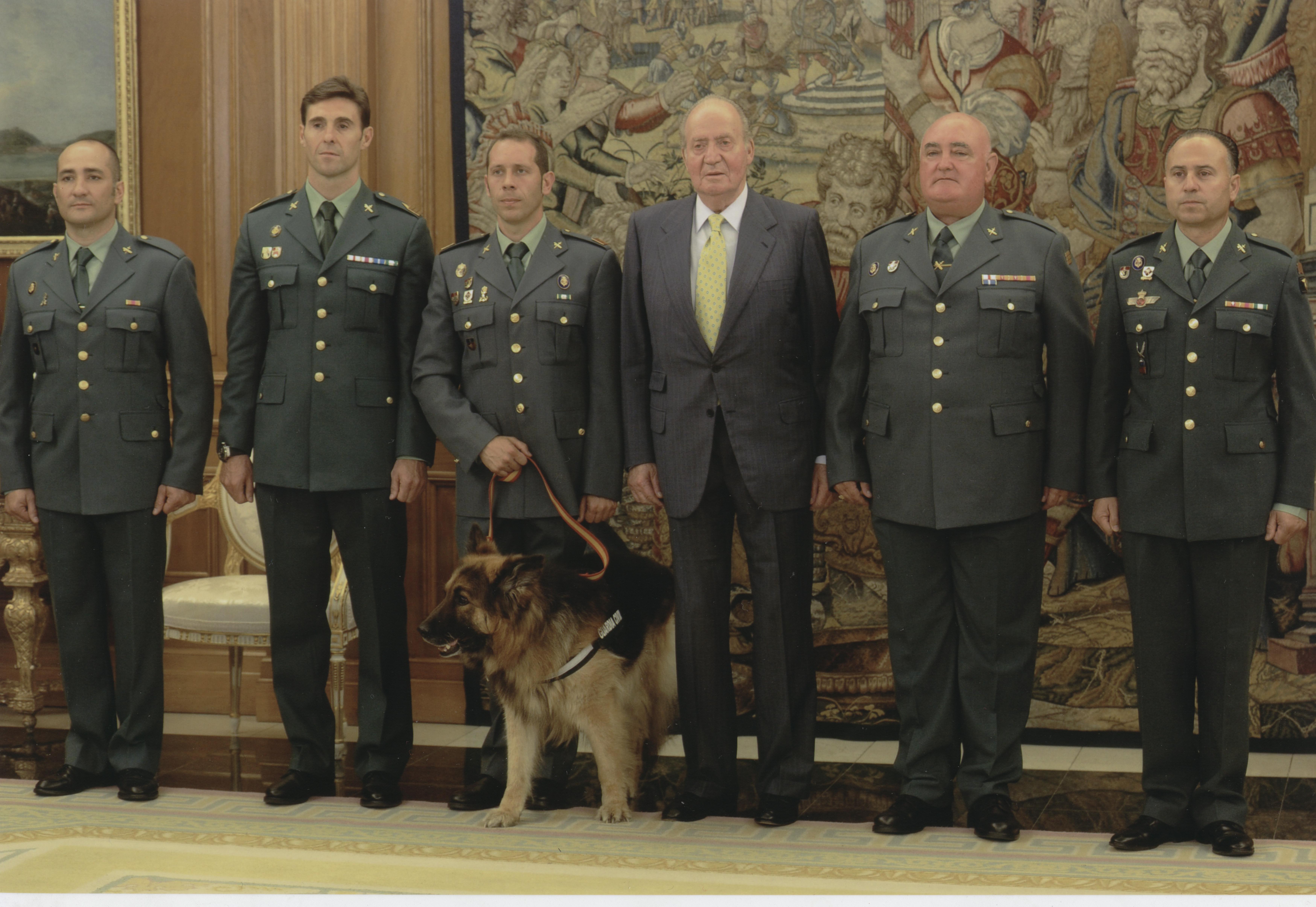 Ajax perro GC 2