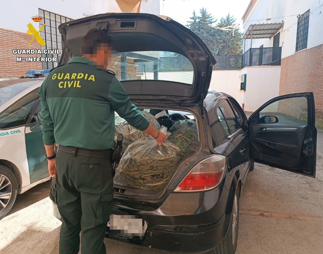 Bolsas marihuana