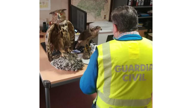 Buhos guardia civil soria