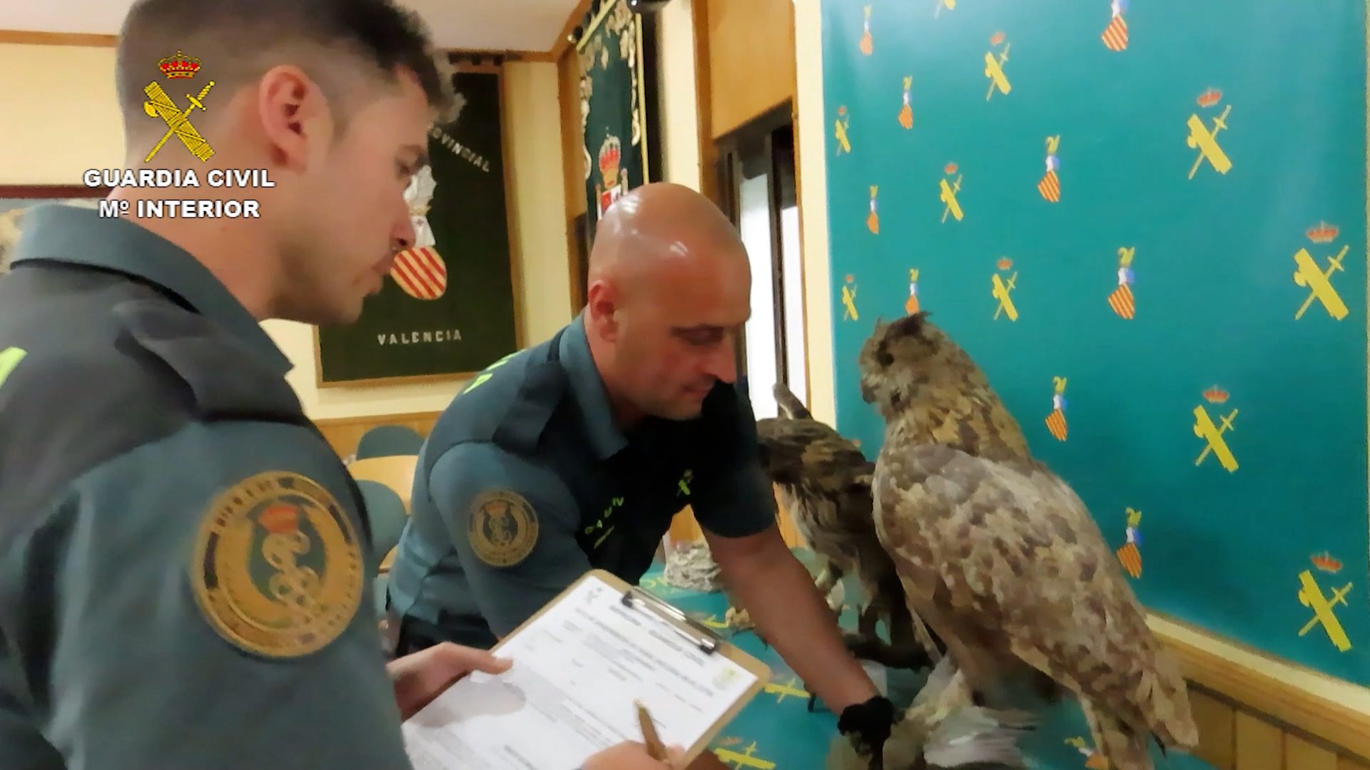 Dia mundial animales seprona 03