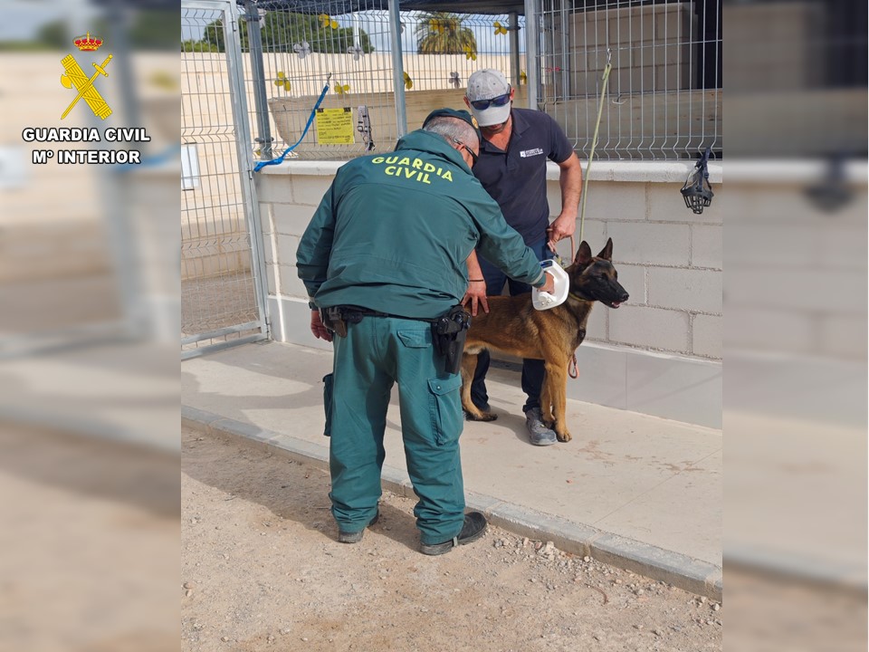 Diapositiva maltrato animal