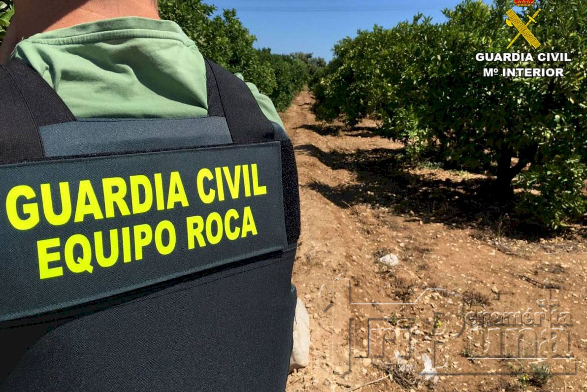 Equipo Roca