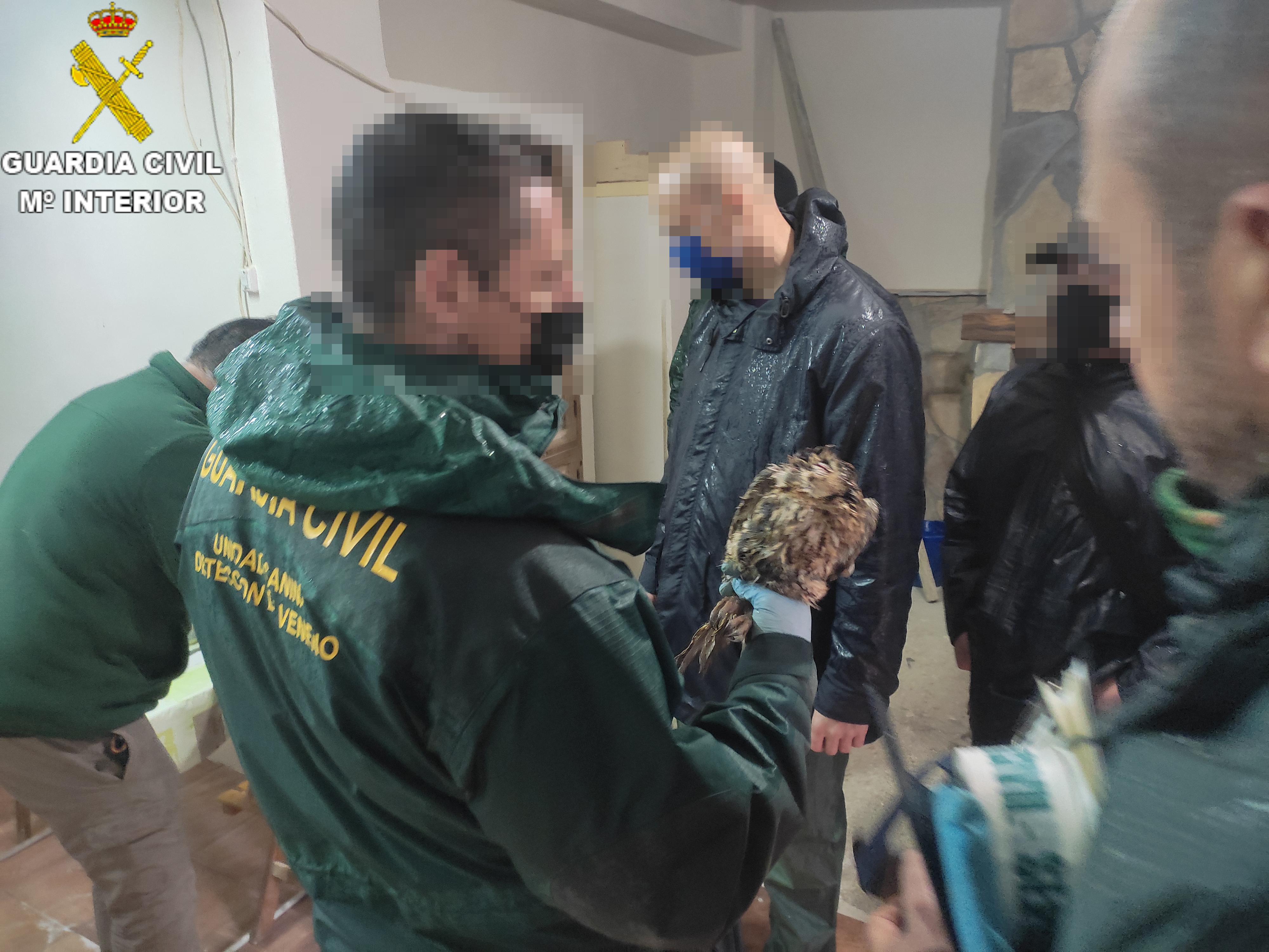 FOTO 20 04 22 seprona carabo gc valencia