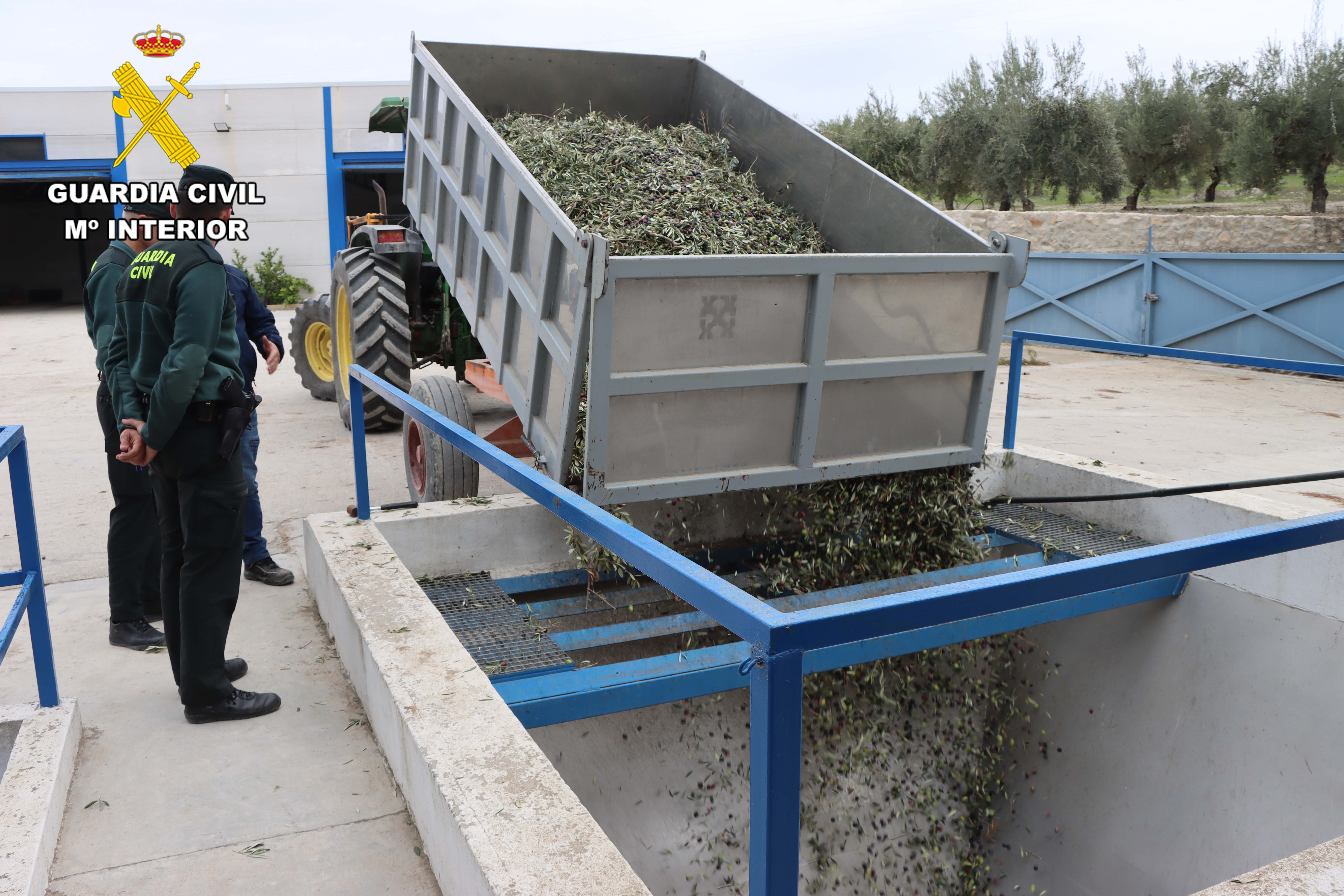 FOTO DE ARCHIVO ALMAZARA ACEITUNA