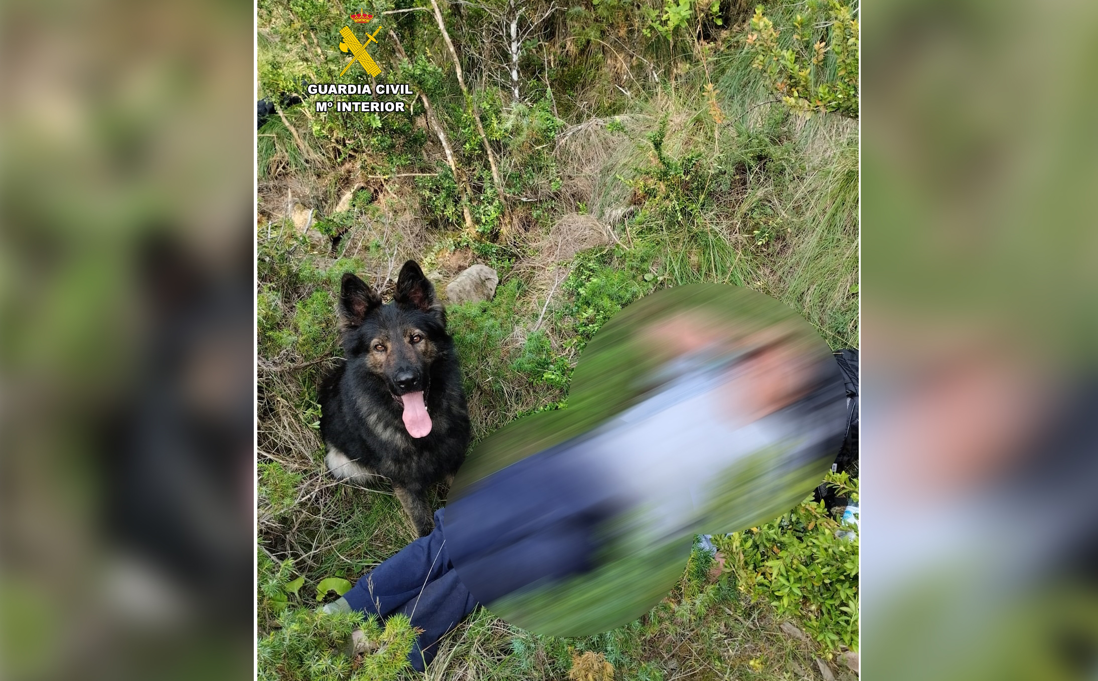 FOTO LOCALIZACION DESAPARECIDO