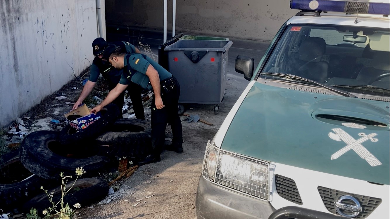 FOTO RESCATE CACHORROS 1