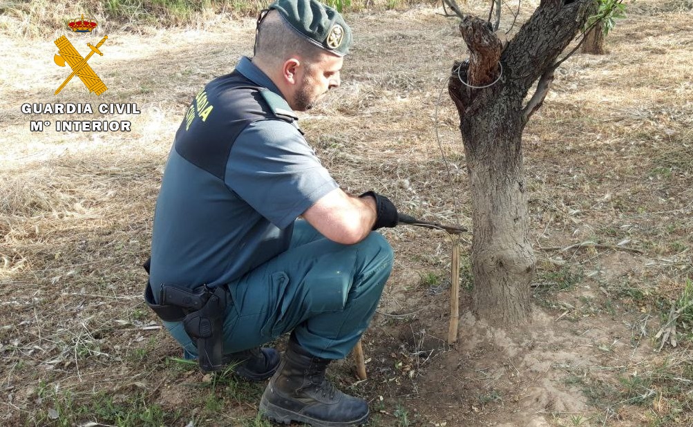 FOTO maltrato animal huesca