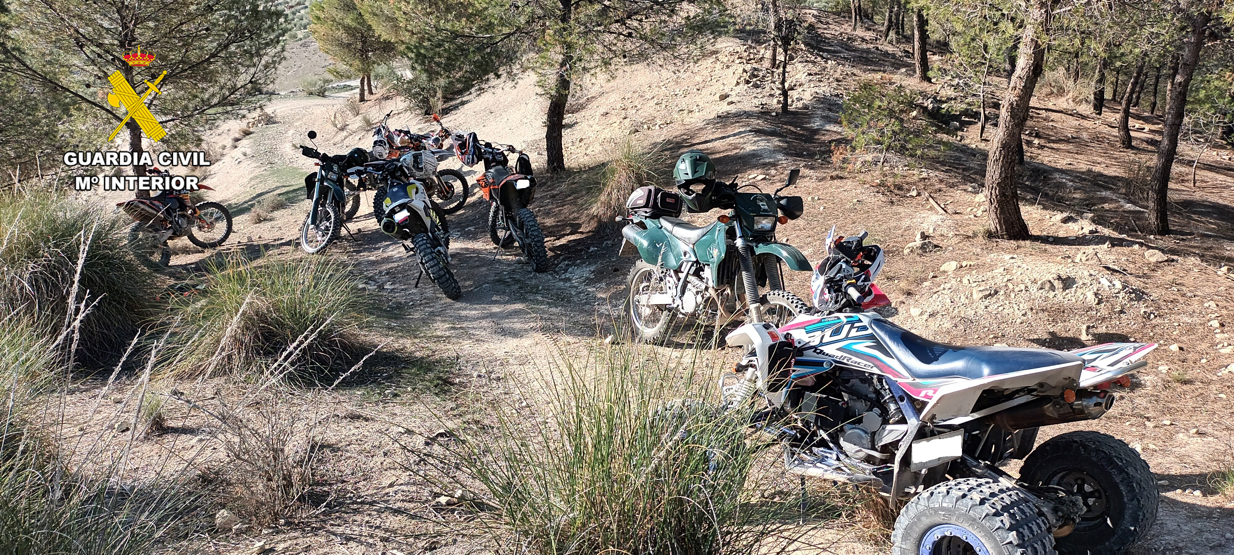 FOTO seprona delito jaenl quad1