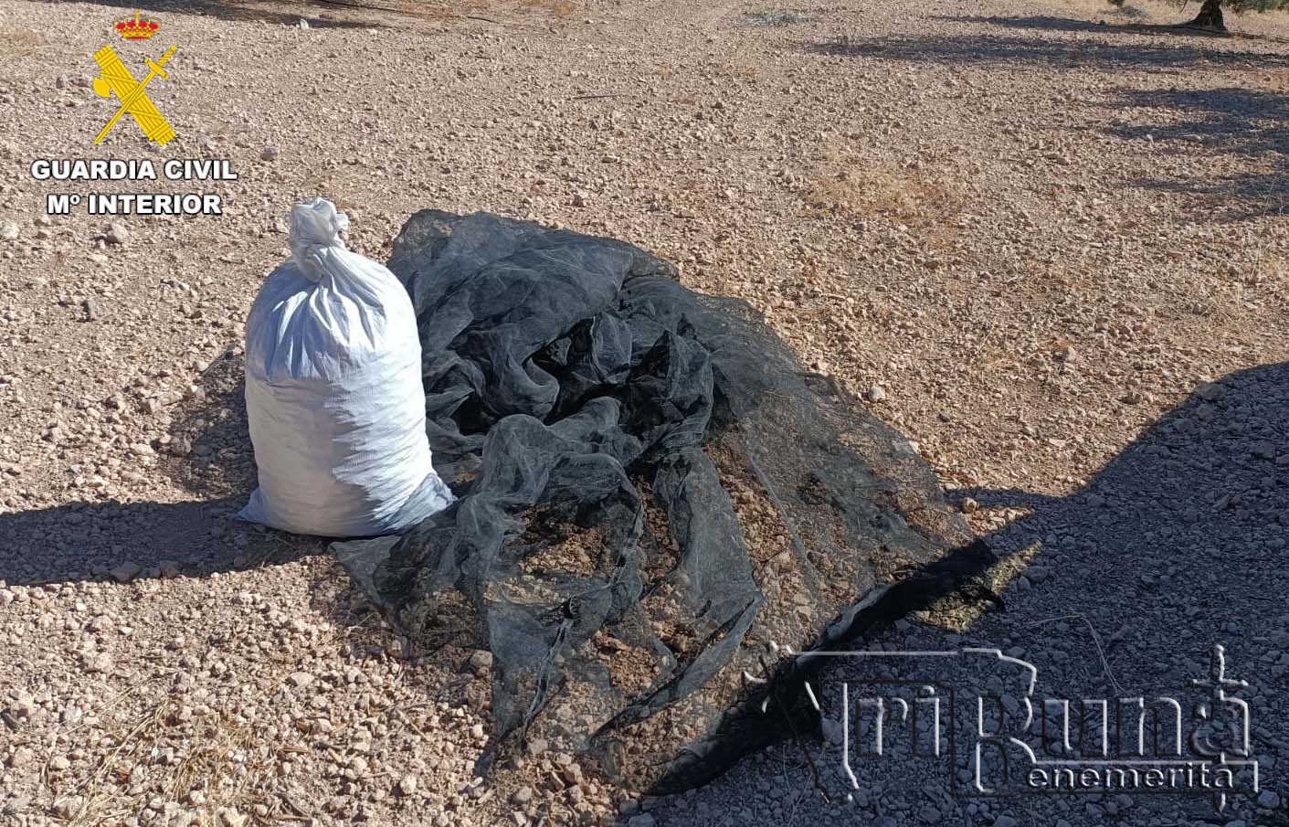 FRUTO RECUPERADO Y MATERIAL INCAUTADO