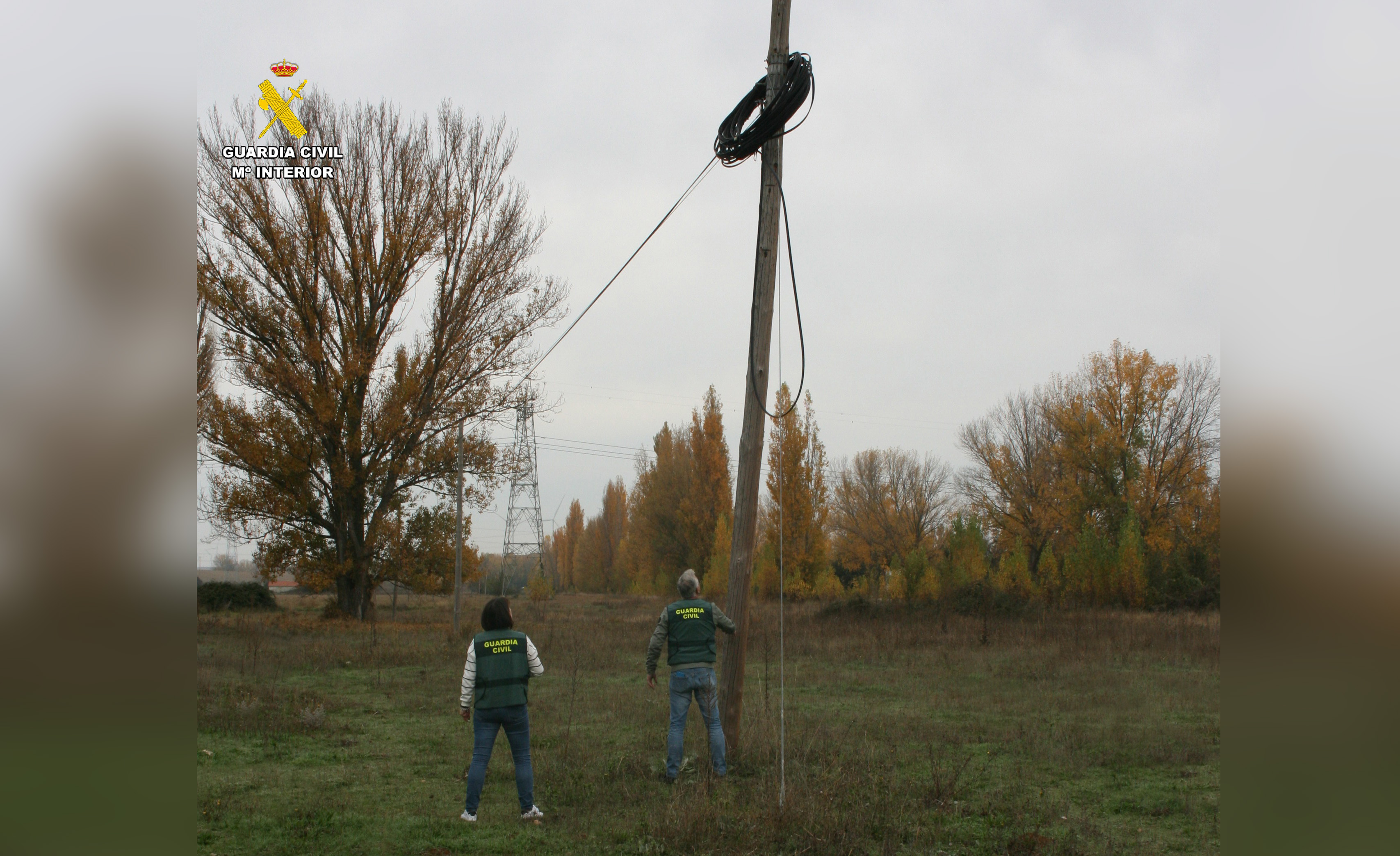 Foto 1 robo cable palencia