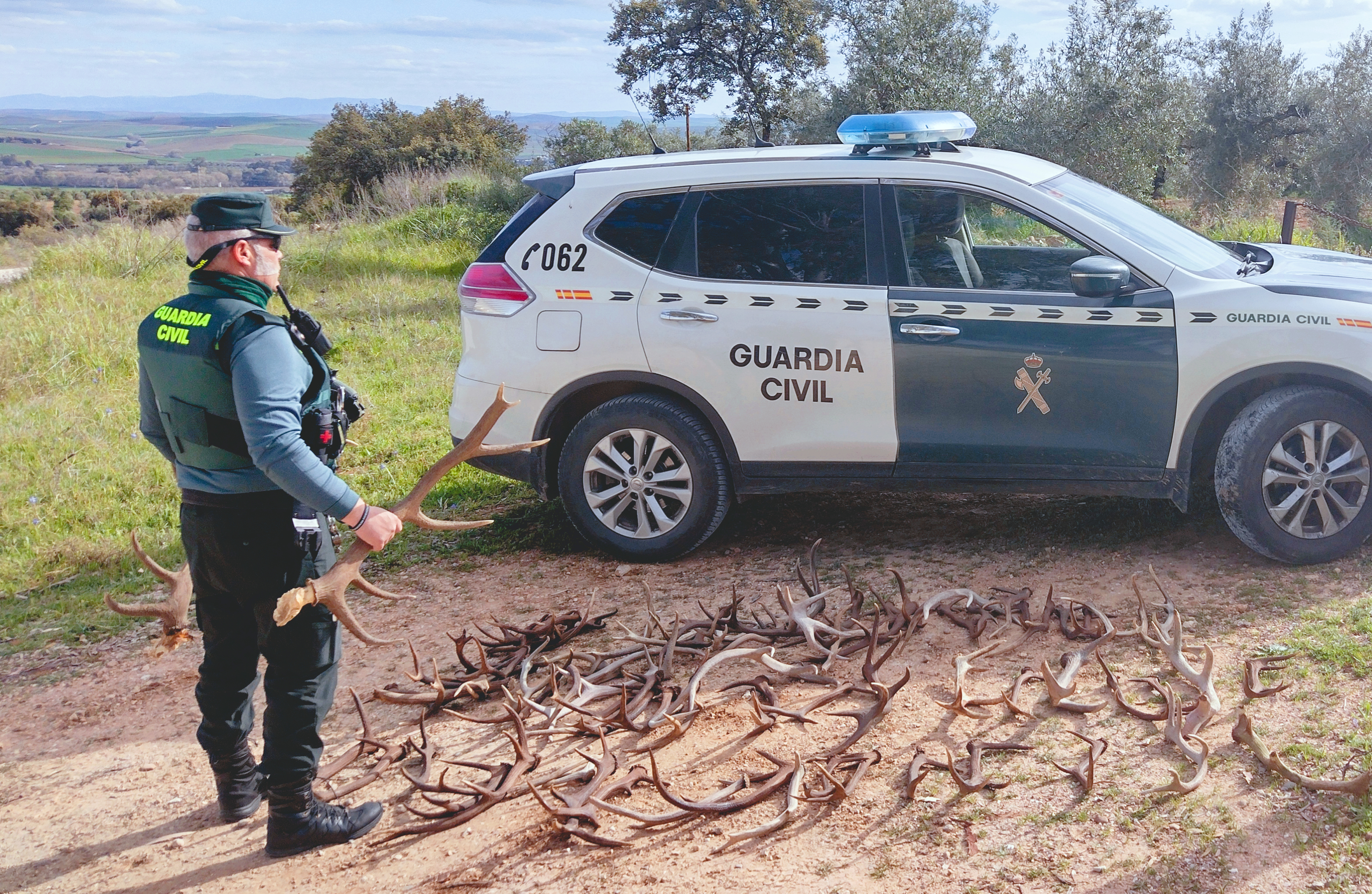 Foto nota de prensa cuernas Navallana