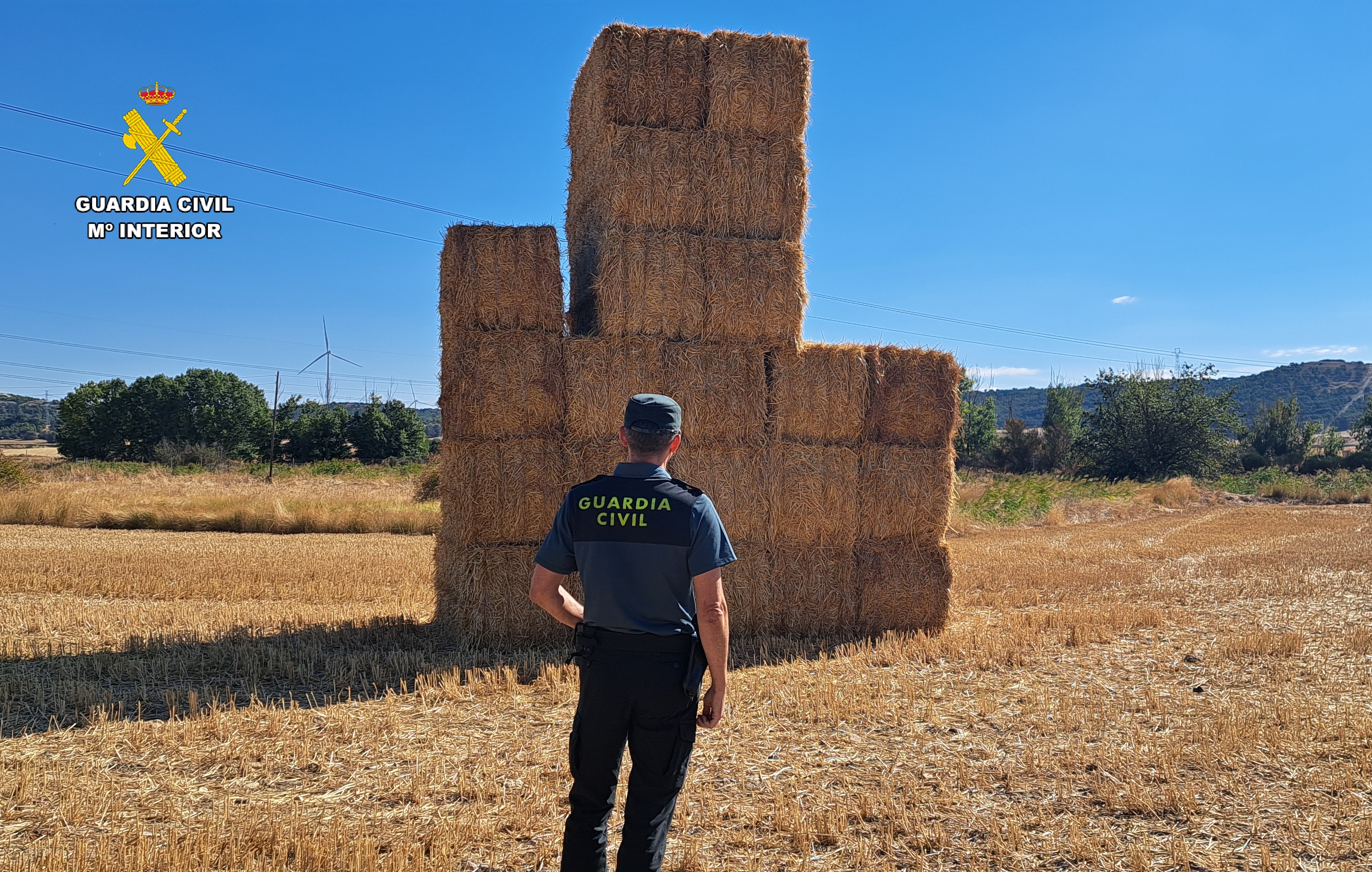 Foto pacas campo 1 1