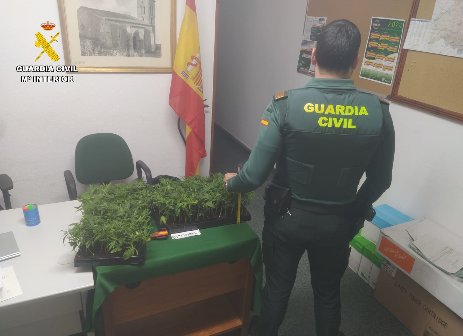 Foto palencia1