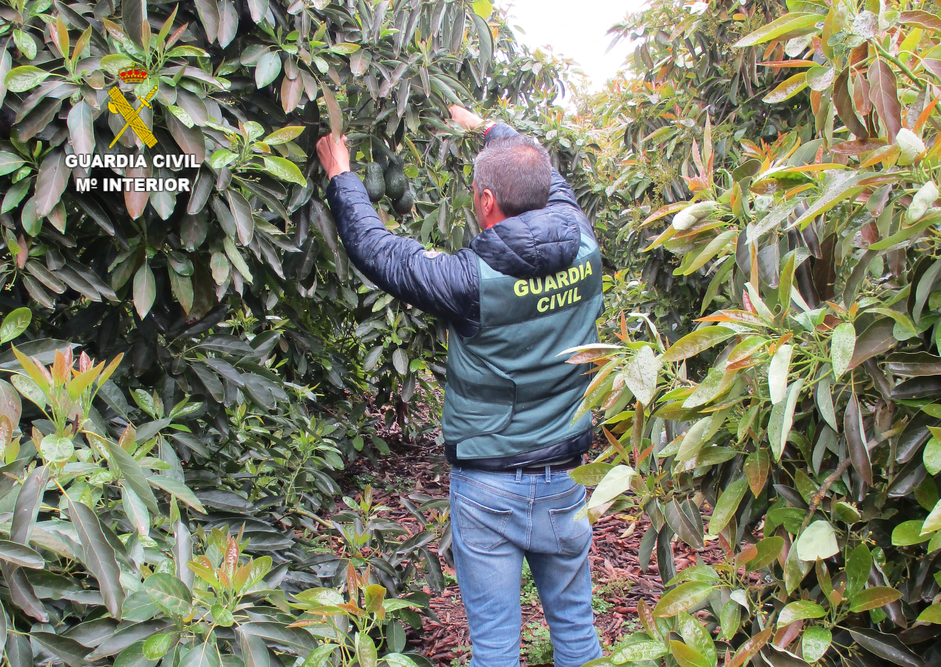 Foto valencia sagunto