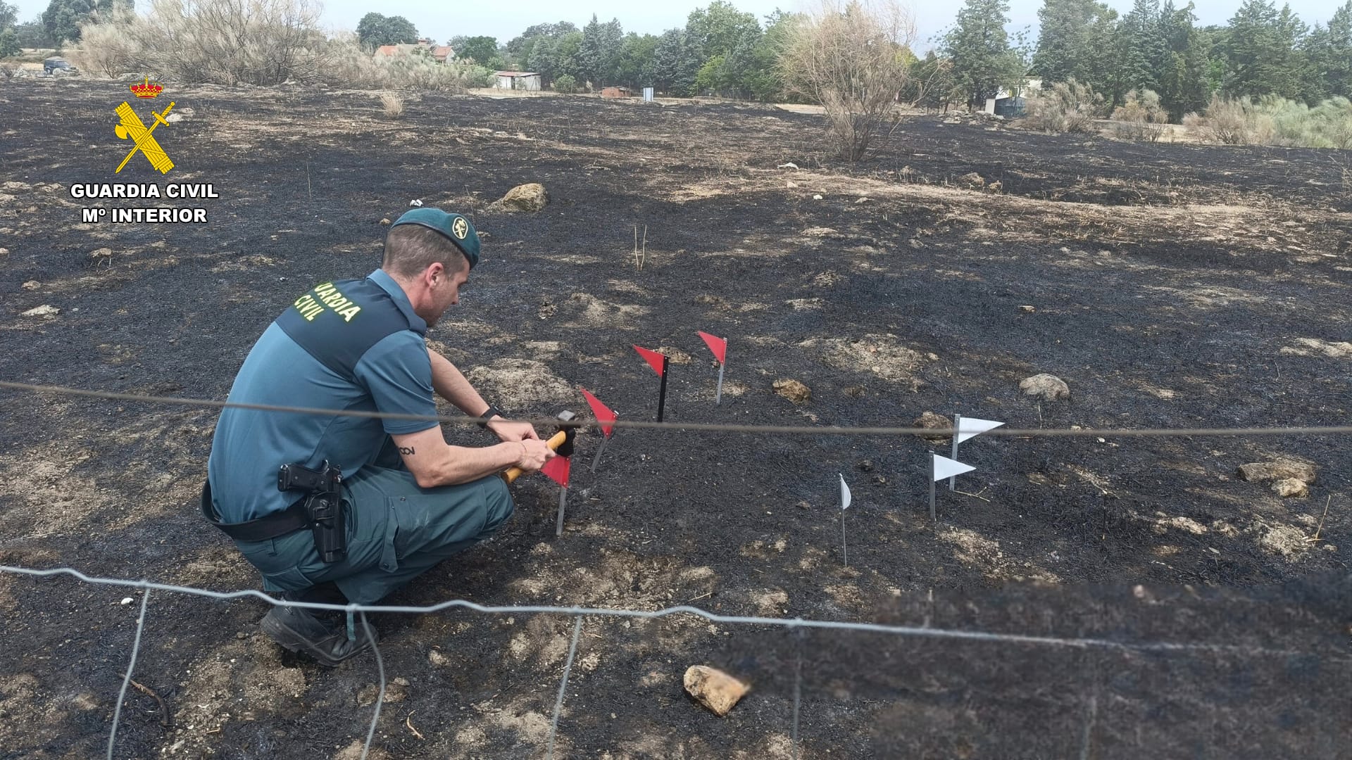 Fotografía incendio seprona investigacion