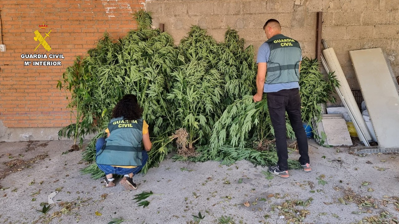 Fotografía1 roca plantacion