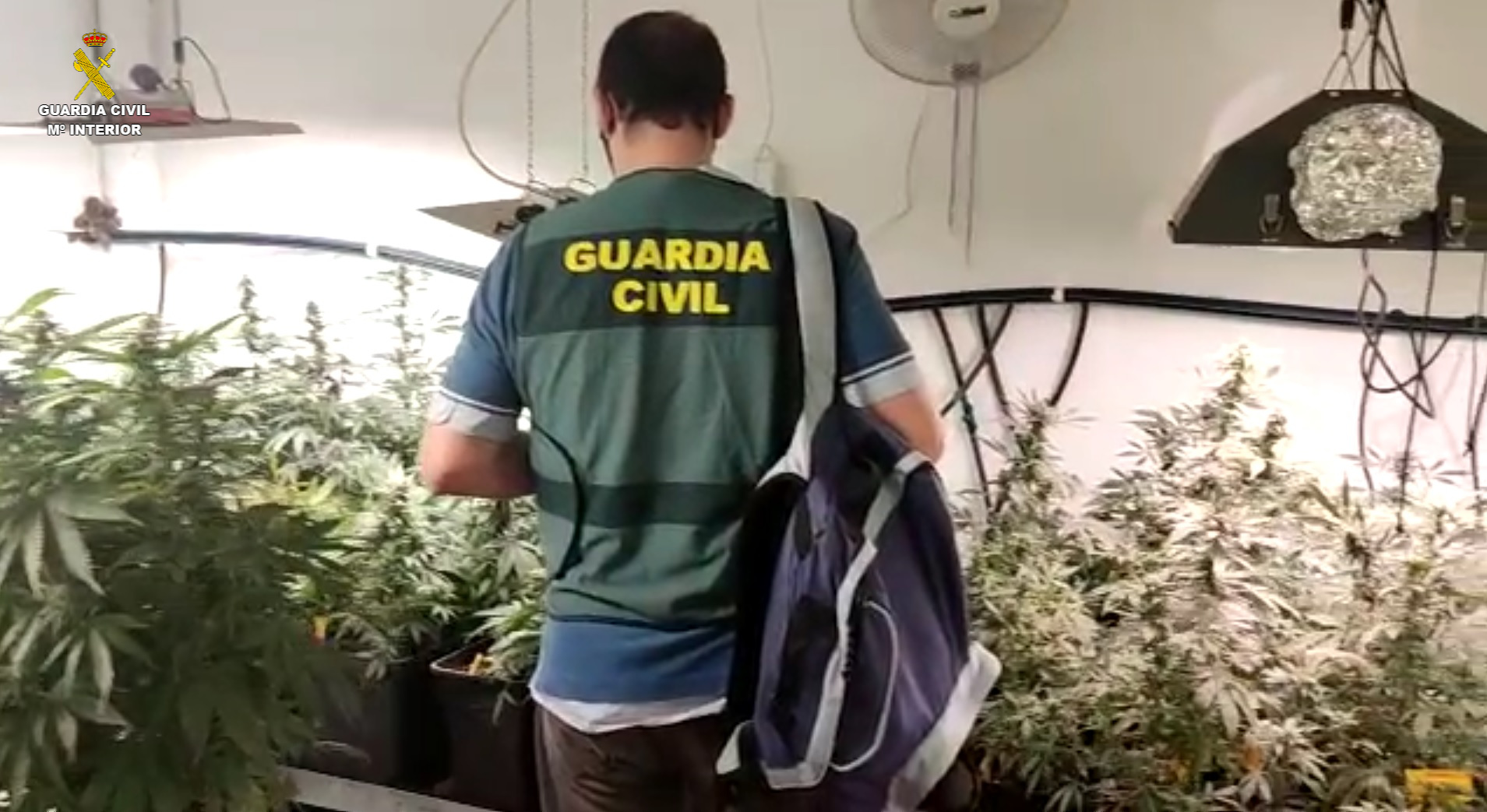 Fotografía plantacion valencia