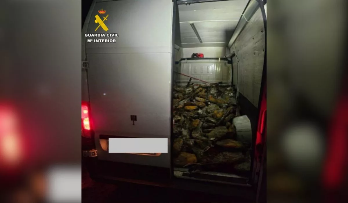 Furgoneta que contenia los jamones robados. Imagen de la Guardia Civil