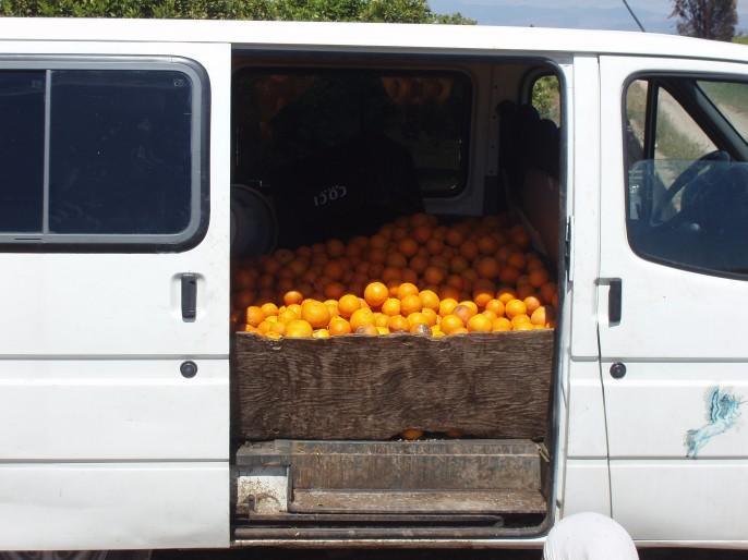 Furgoneta naranjas