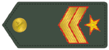 Guardia Civil Suboficial mayor