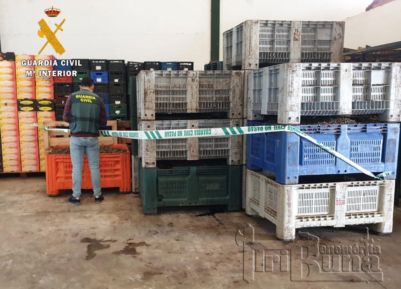 Guardia Civil del Equipo ROCA durante una inspección