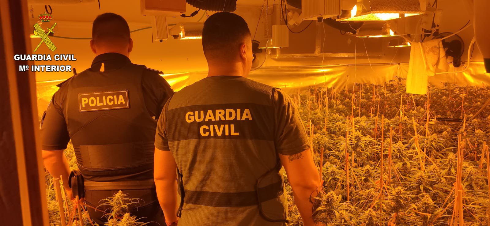 Guardia Civil y Policia Local de Seseña en la plantación