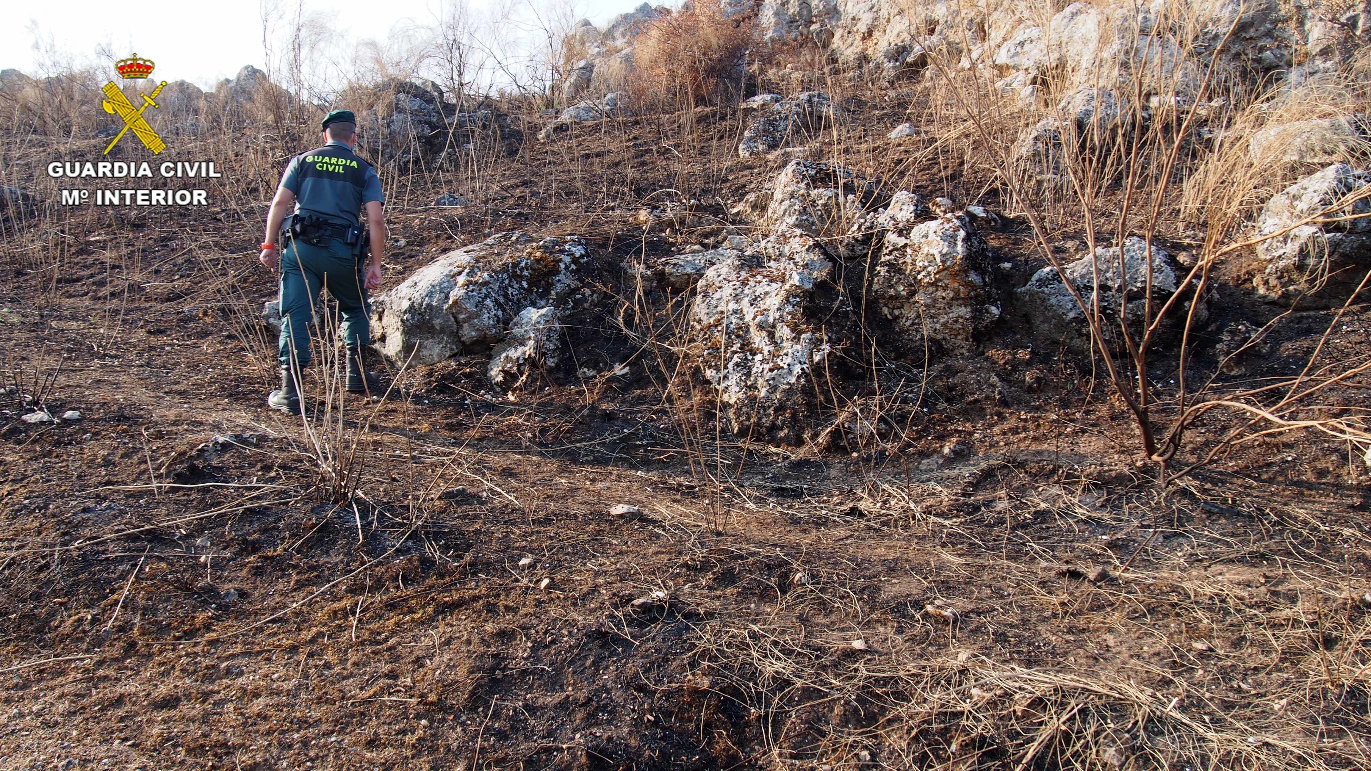 INCENDIO SEPRONA