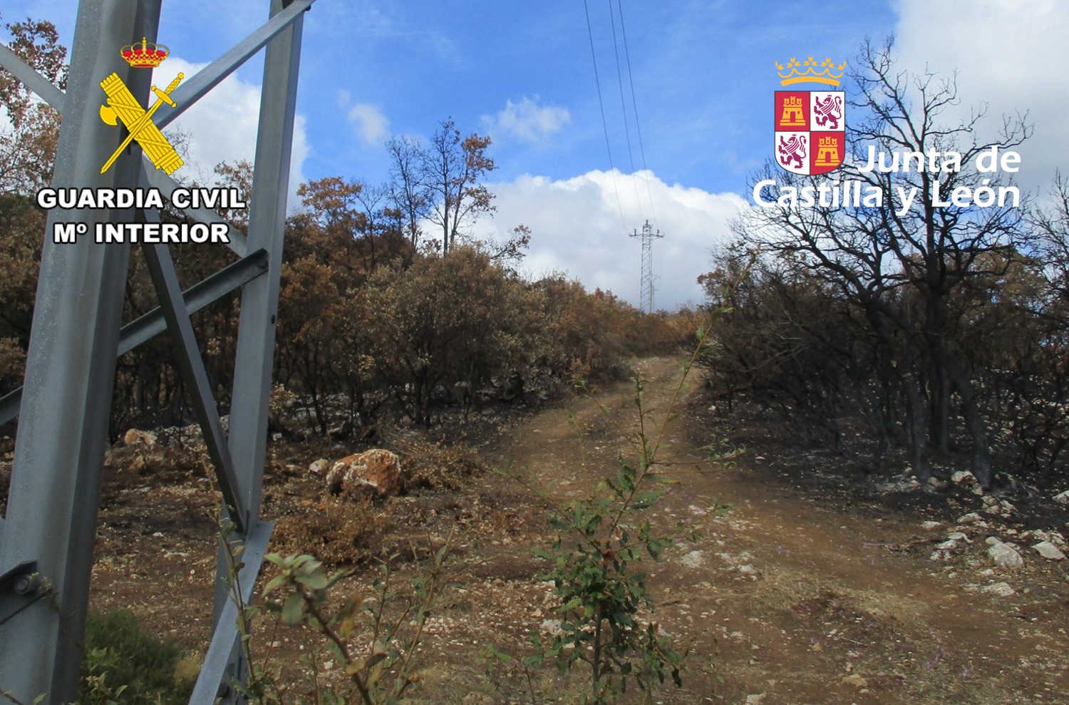 INCENDIO torre origen fuego 2
