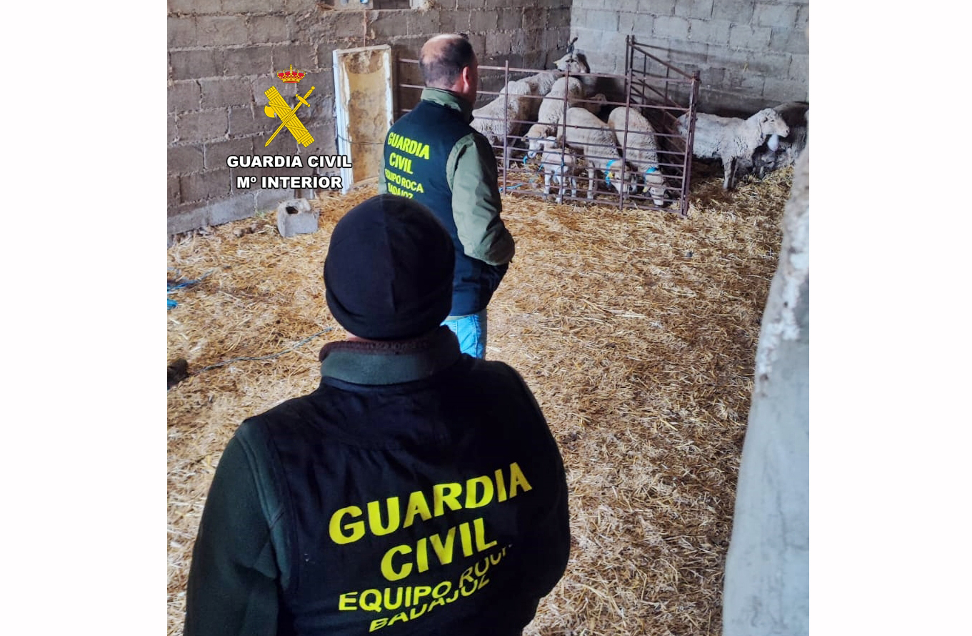 INSPECCION GANADO 2