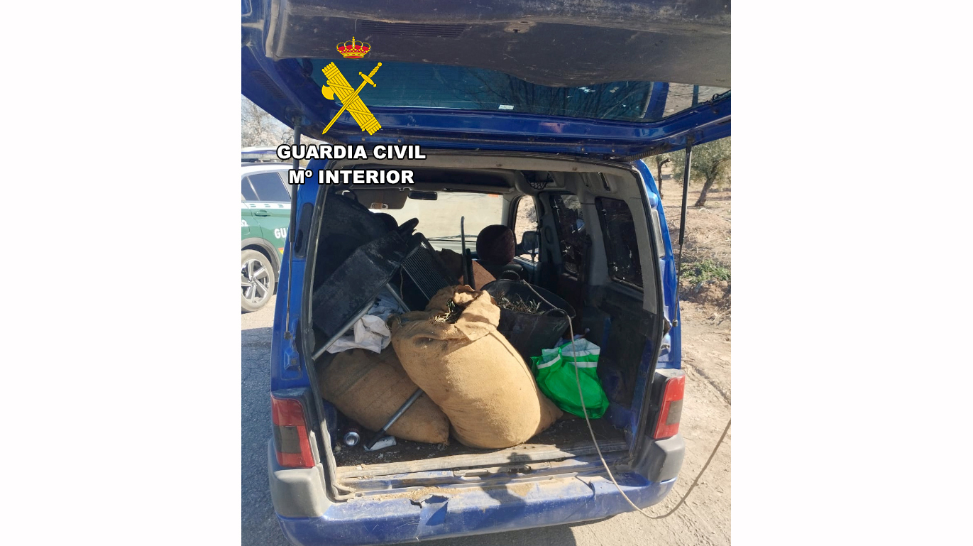 INVESTIGADOS HURTO ACEITUNA JAEN