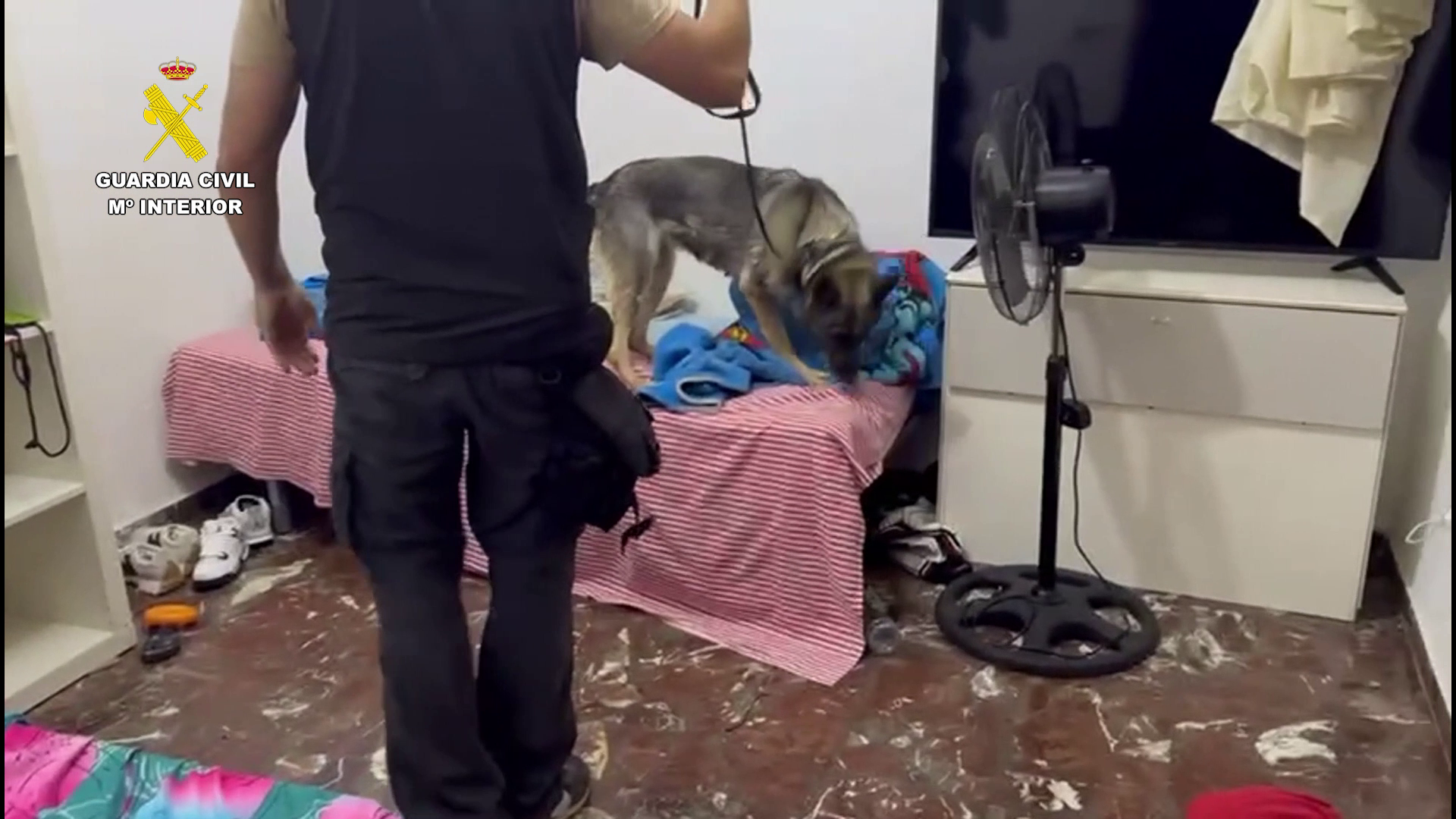 Imagen 2 explotacion laboral