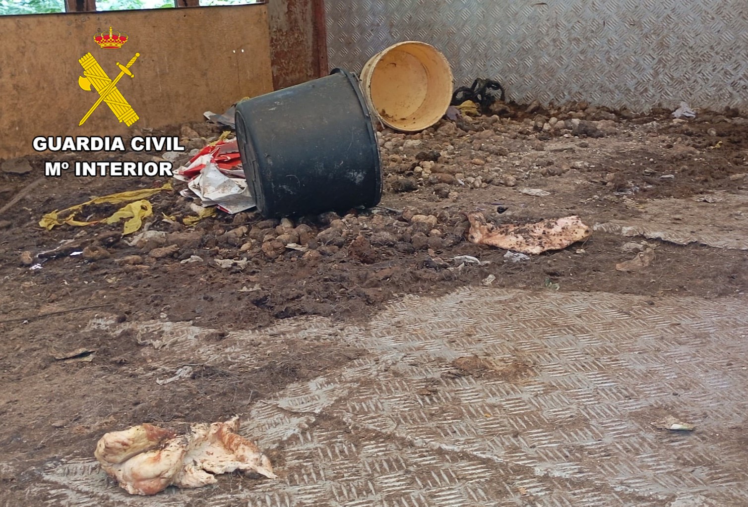Imagen4 seprona burgos maltrato animal 1