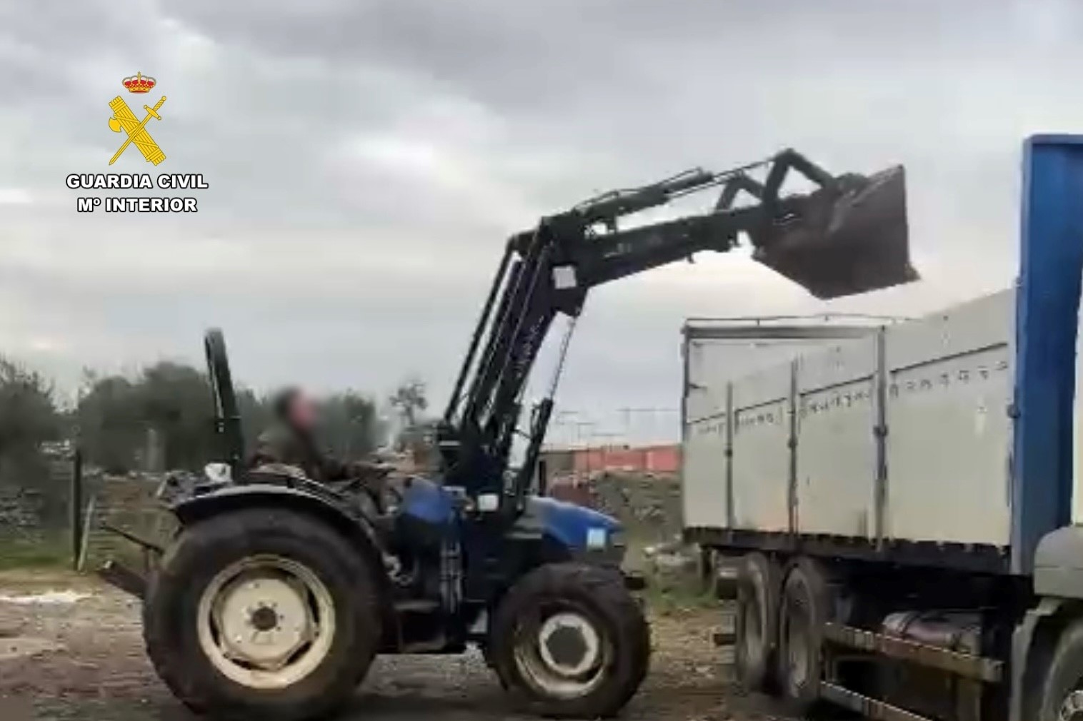 Imagen 1 carga aceituna caceres