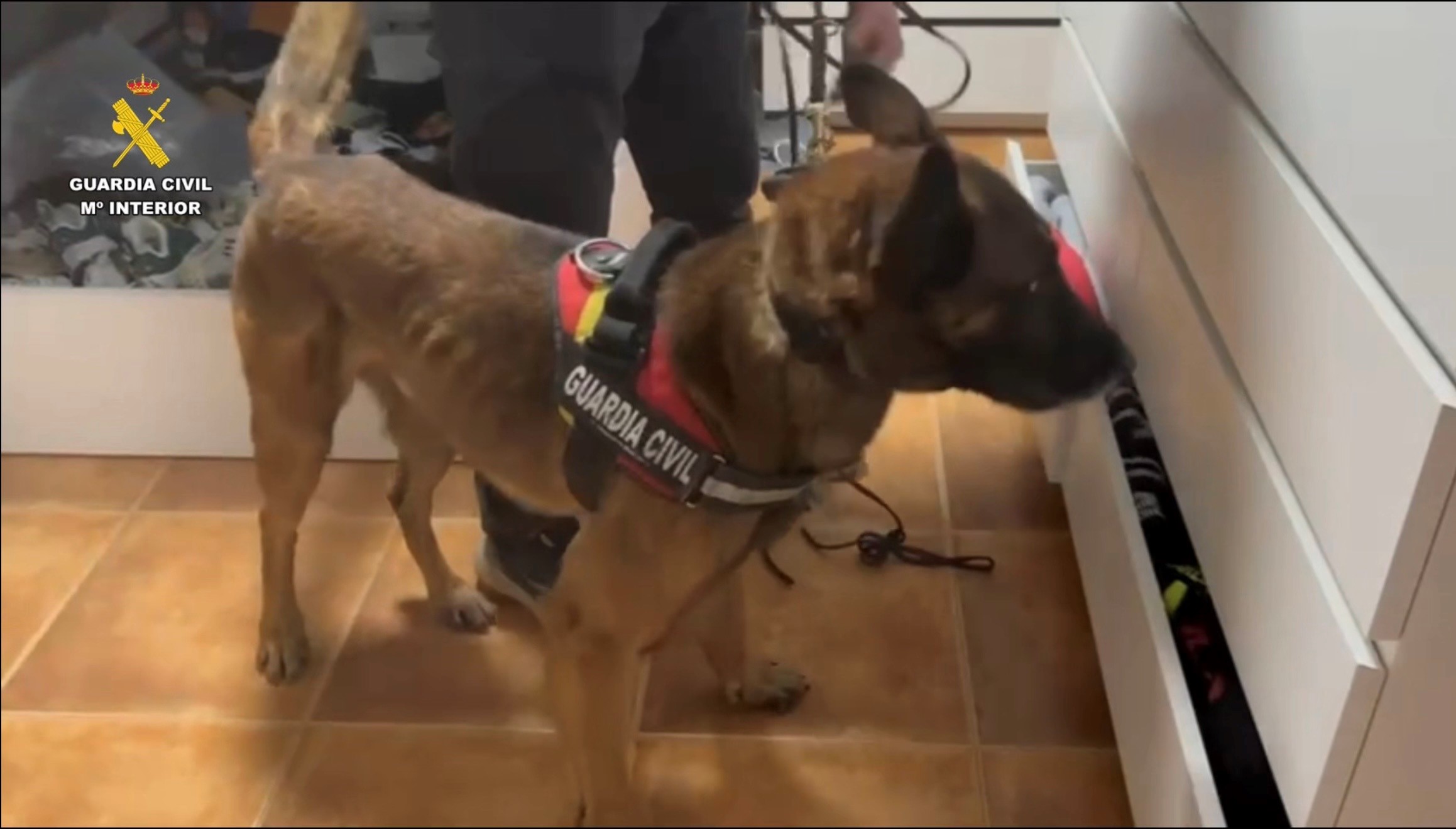 Imagen 4 caceres 250326