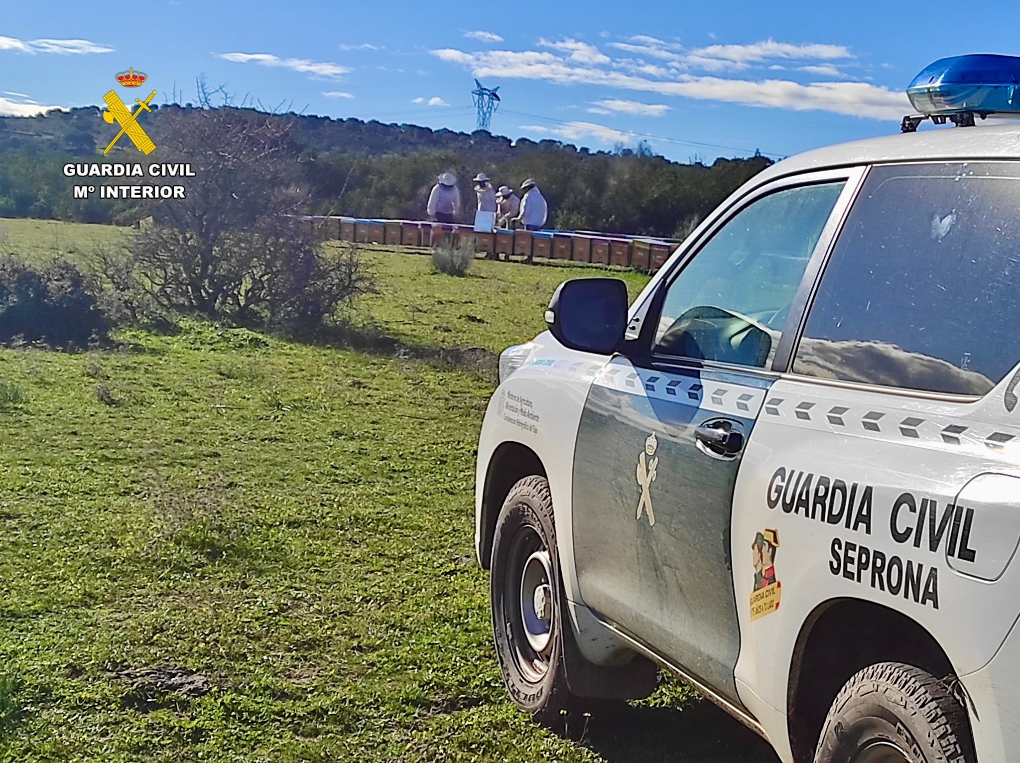 Imagen Seprona