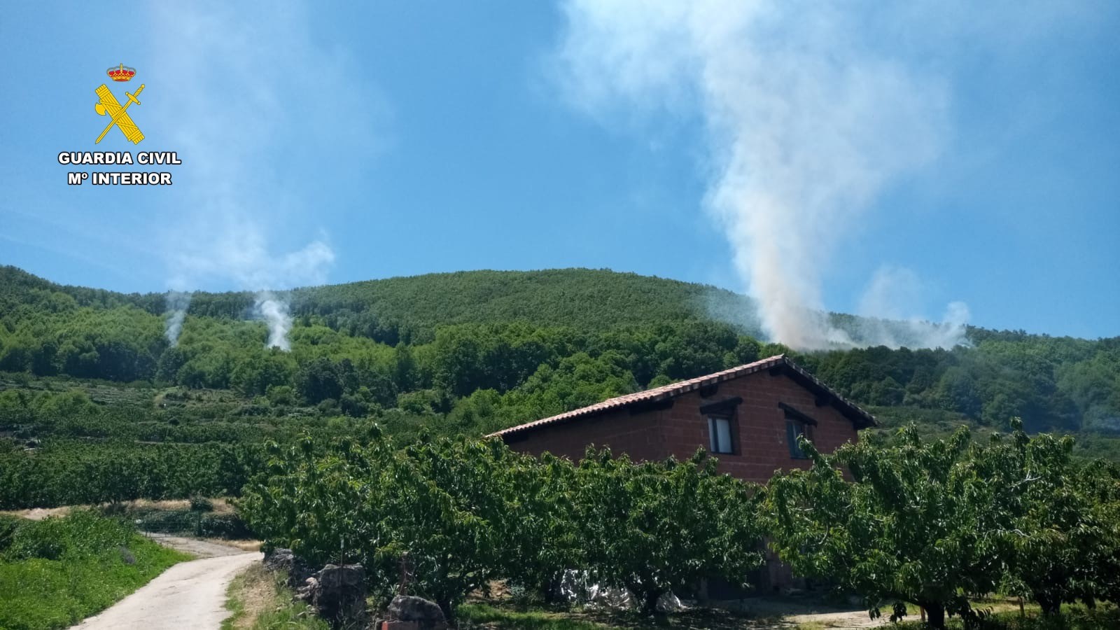 Imagen de las columnas de humo de varios puntos incendiados