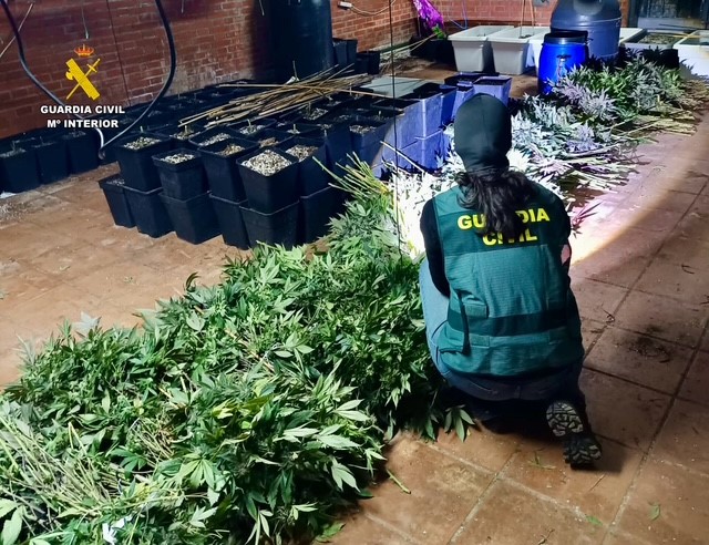 Imagen roca caceres plantacion