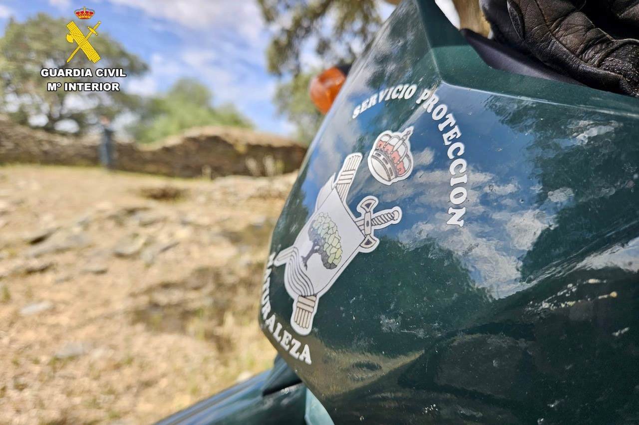 Imagen seprona guardia civil