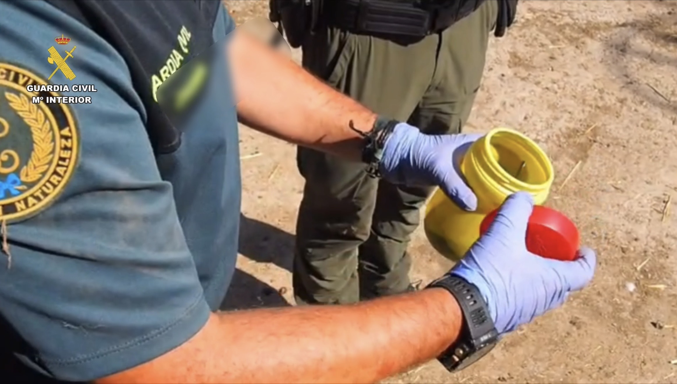 Imagen seprona investigacion cebos envenedados