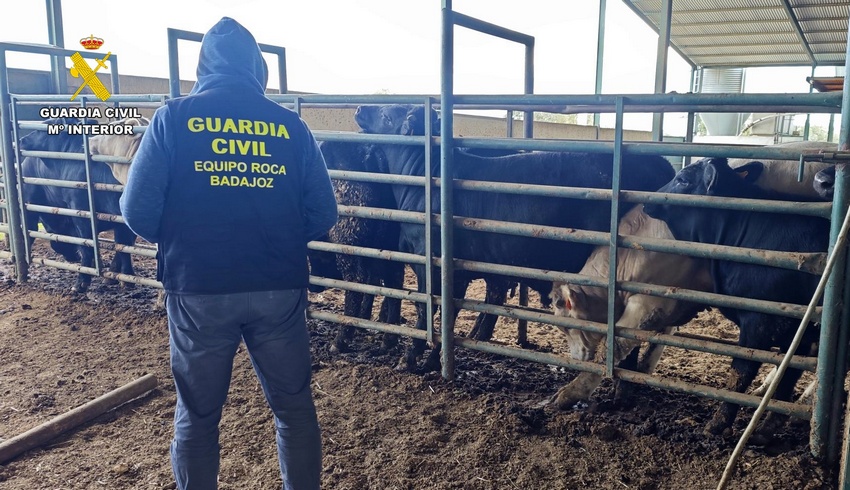 Inspeccion ganado