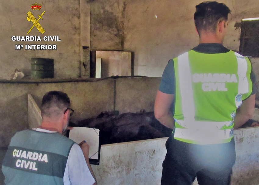 Localizacion recuperacion parte del ganado 2