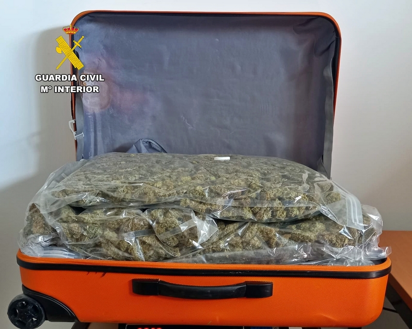 MALETA COGOLLOS MARIHUANA