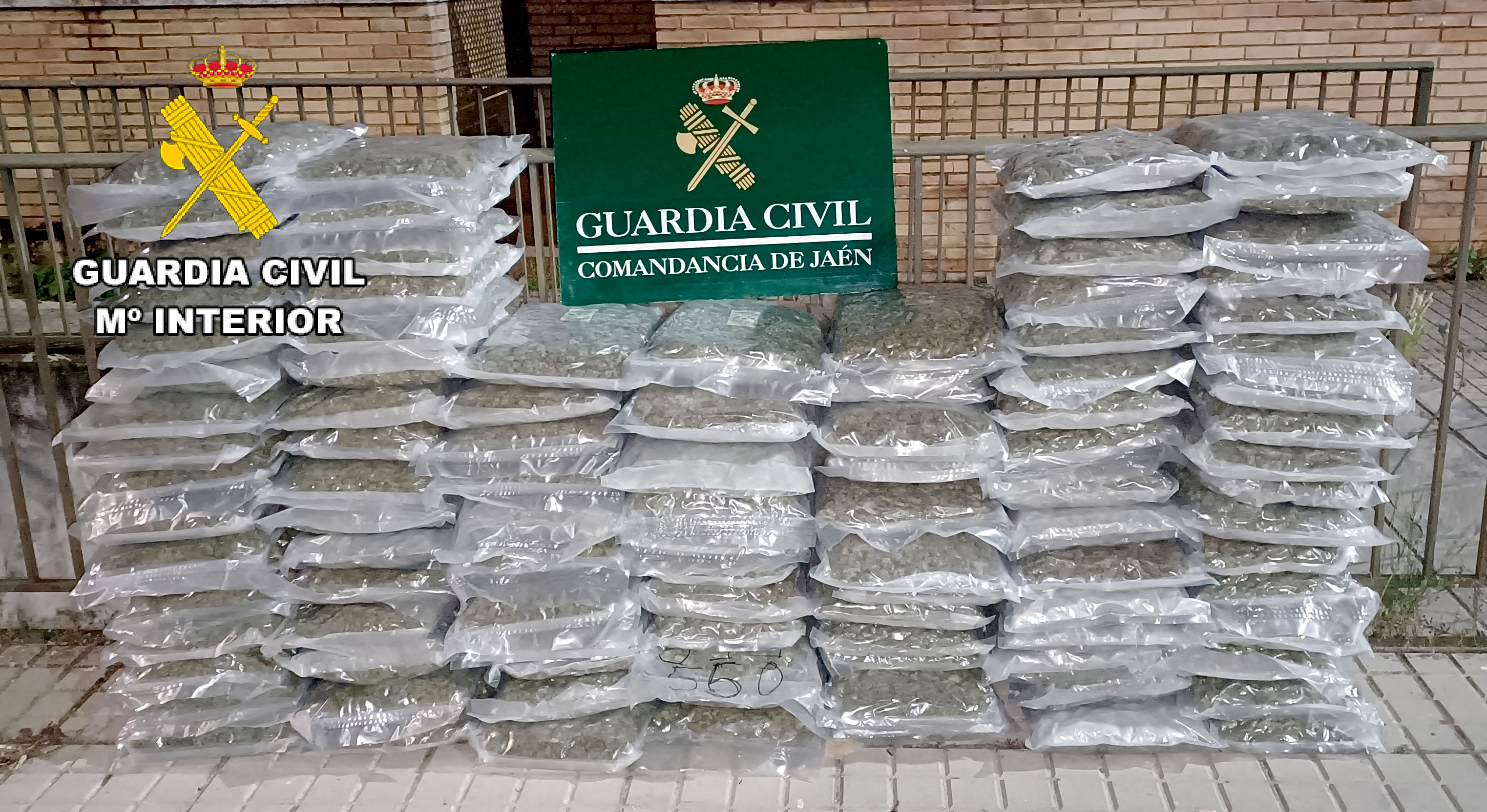 Marihuana Caravana 4